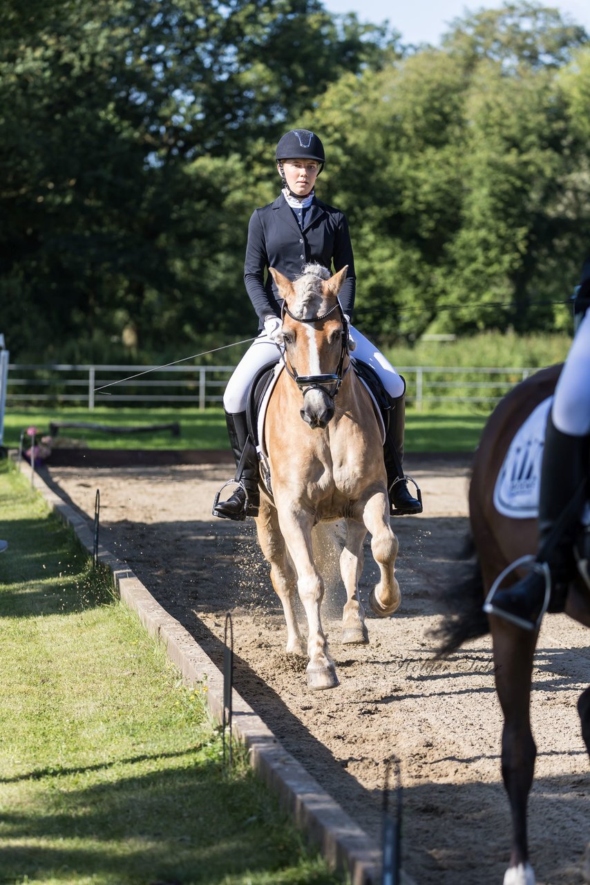 Bild 164 - Pony Akademie Turnier